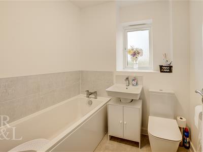 Picture 16